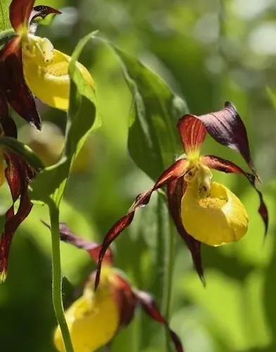 Haus Lechblick Steeg